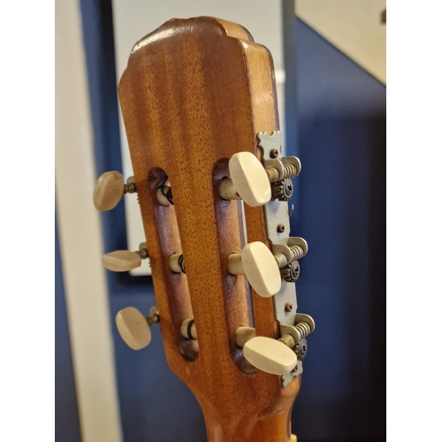 20 - Brazilian Giannini Classical Spanish Guitar w/rare carved headstock - 1979 model ref AWN 21 - 98cm h... 