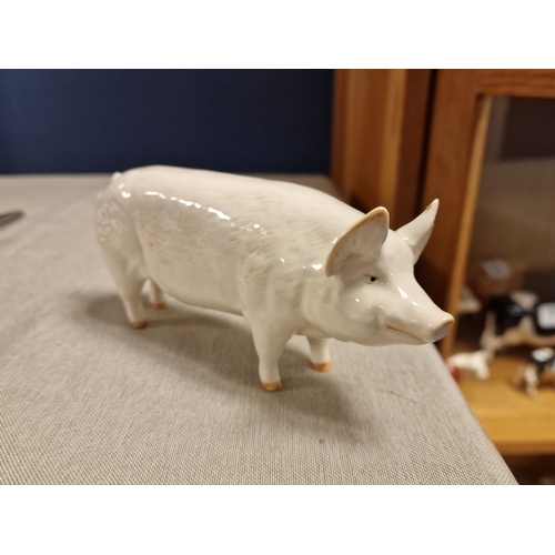 85 - Beswick Pig Ch Wall Ch Boy - 53 7.5cm x 16.5cm