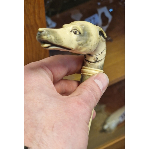 260v - Antique Greyhound Bone Pipe Topper