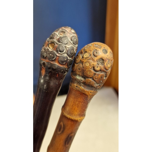 17 - Antique French Swordstick + a Walking Cane, both with Acorn detail to the tops - swordstick measures... 