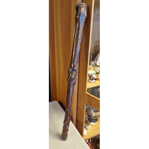 18 - Irish Shillelagh Stick - 56cm long