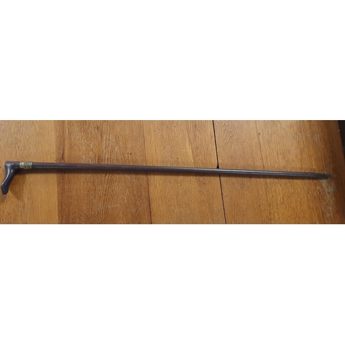 19a - Vintage Indian Foot Topped Walking Stick