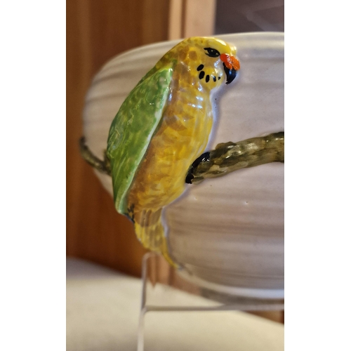 25 - Clarice Cliff Parrot Macaw Bowl - 21cm diameter