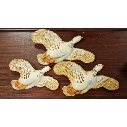 31g - Beswick Trio of Wall Hung Pigoens Doves - 1188-2