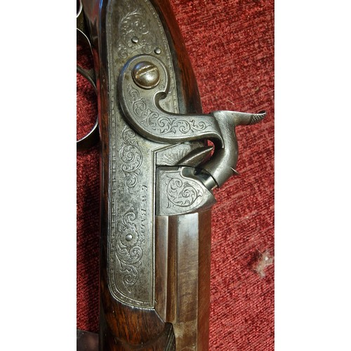 82 - Antique 19th Century Black Powder Twin Barrel Musket Rifle Gun - marked GW Bales - Militaria Interes... 