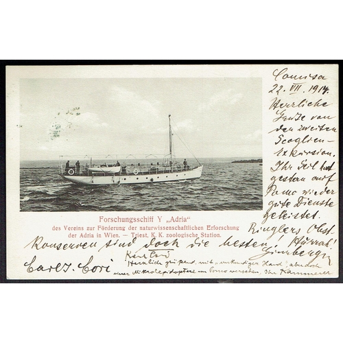 41 - Maritime: Austria 1914 (22 July) Postcard of the Research ship Y, Adria bearing 5h green adhs tied K... 