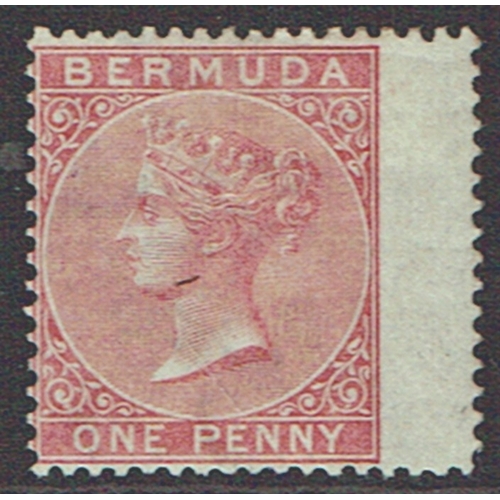 Lot 195       