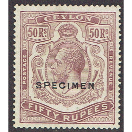 Lot 295       