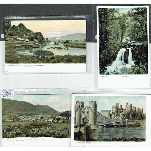 60 - POSTAL HISTORY - Maritime: Wales c1904 Trefriw Belle four unused postcards each a different view of ... 