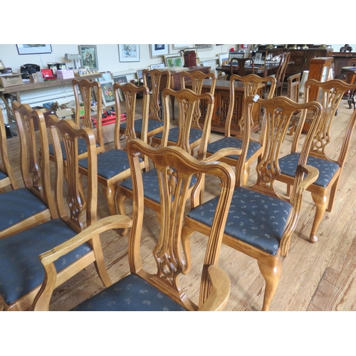 366 - Set of 10 Oak High Back Dining Chairs and two Carver chairs