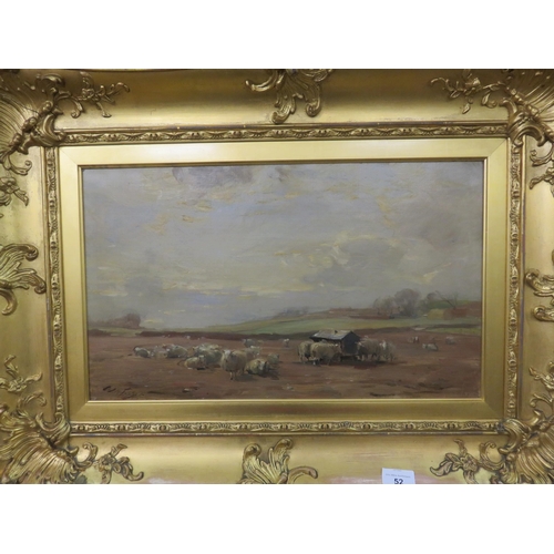 52 - Gilt Framed Oil Painting - Grazing Sheep - William Miller Frazer 11 x 19½  inches