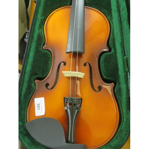 391 - Cased Violin