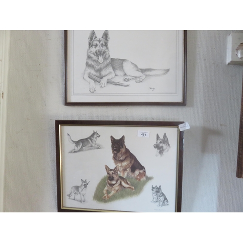 451 - Two framed Pictures 