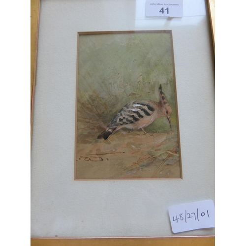 41 - Framed Original Watercolour by Charles Whymper