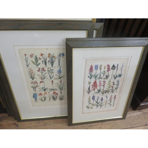 2 - Large quantity of Framed Botanical Themed Prints