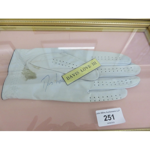 251 - Gilt Framed Signed Golf Glove 