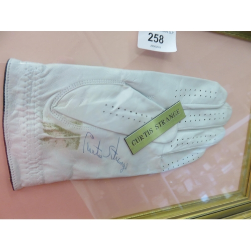 258 - Gilt Framed Signed Golf Glove 