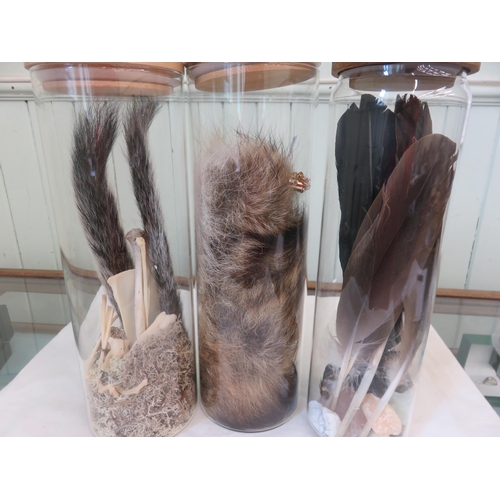 275 - Two Fox and Bird Specimens