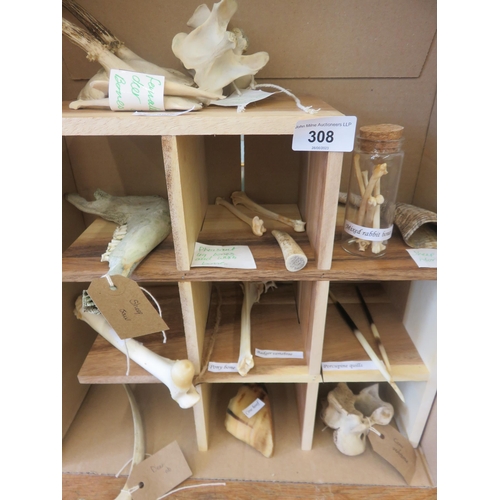 308 - Quantity of animal Bone Specimens on stand