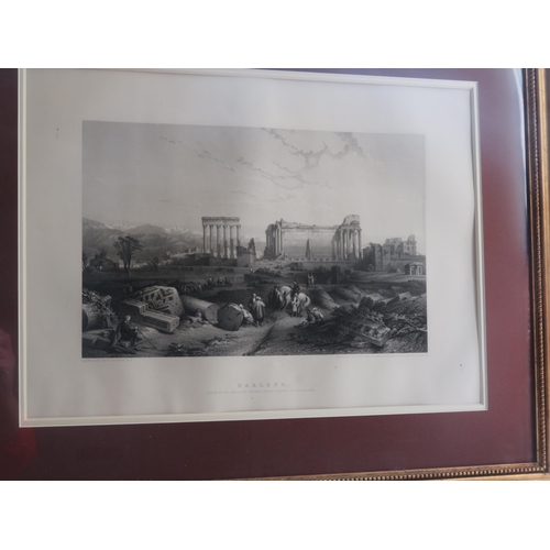 41 - Gilt Framed Print 