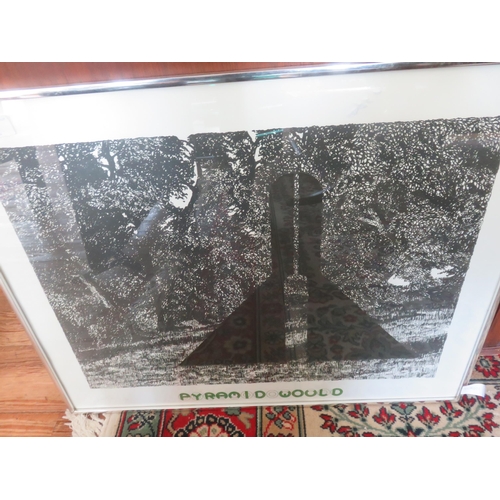 56 - Framed Print, Ltd. Edn. 11/20 