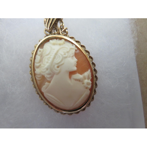 117 - 9ct. Gold Mounted Cameo Pendant on 9ct. Gold Chain