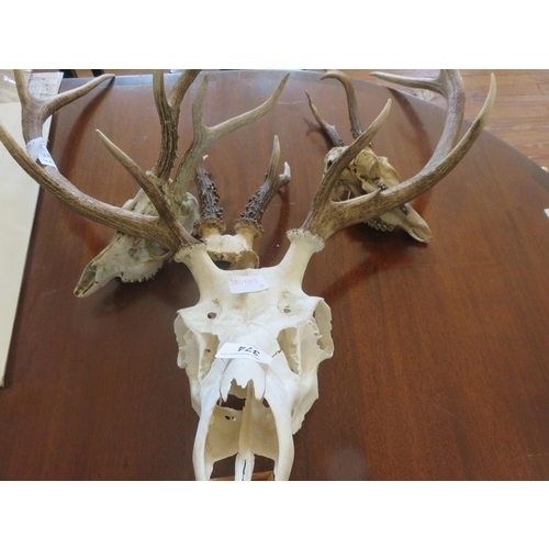 374 - One Large and Three Small Deer Antlers