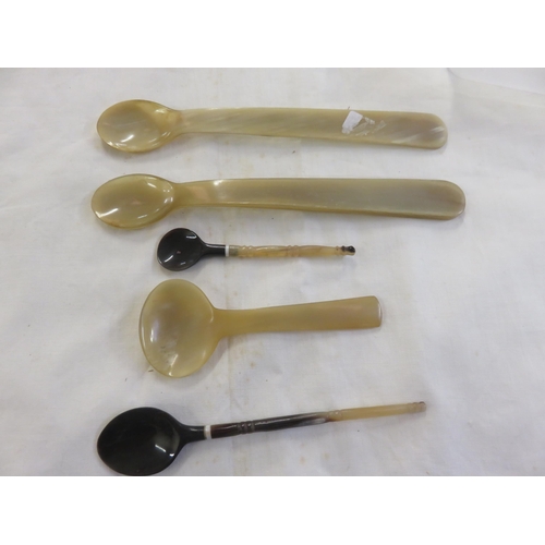 204 - Five Bone handled spoons