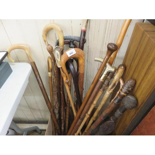 443 - Very large lot of Walking Sticks