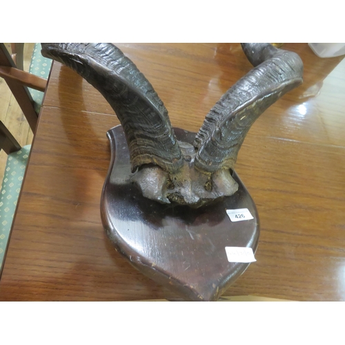 426 - Large Kudu Antlers