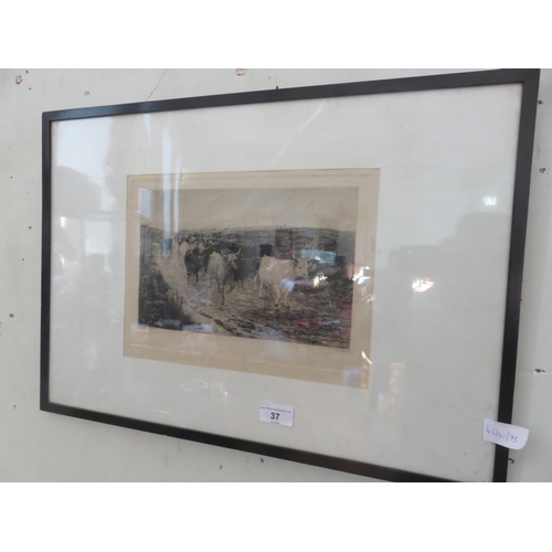 37 - Framed Etching - Droving Cattle