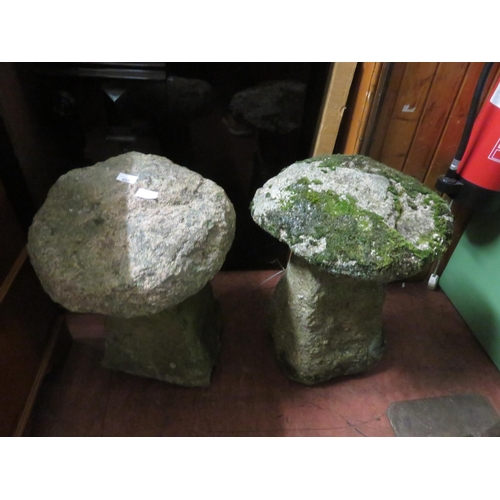 499 - Two Saddle Stones