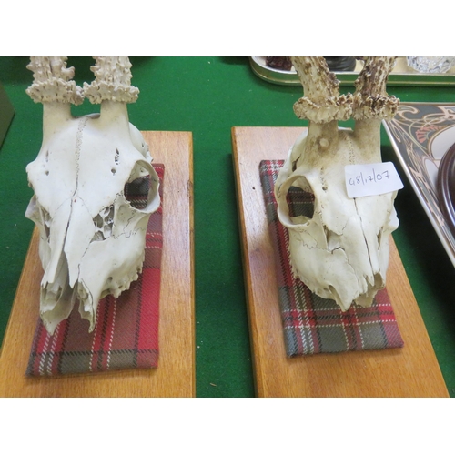 289 - Two Small Antlers on Stands