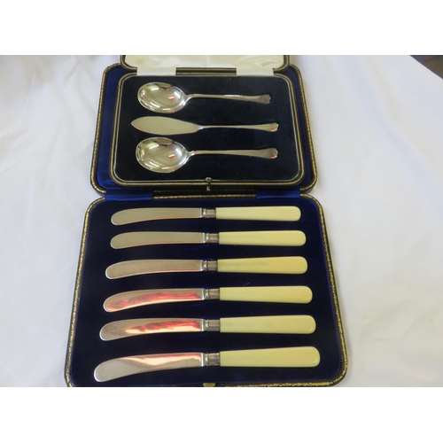 219A - Sheffield Silver Cased Pair of Spoons and Butter Knife, Bone Handled Silver Bladed Tea Knives, cased