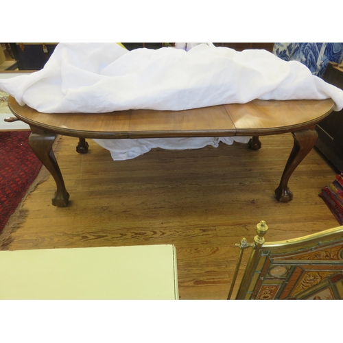 486 - Mahogany Oval Dining Table on claw and ball feet with one leaf