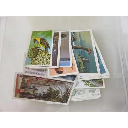 357 - Small Tub of Cigarette Cards