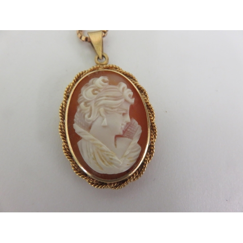 138 - 9ct. Gold Mounted Cameo Pendant on 9ct. Gold Chain