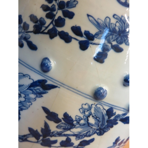 246 - Pair of Chinese Blue and White Garden Seats