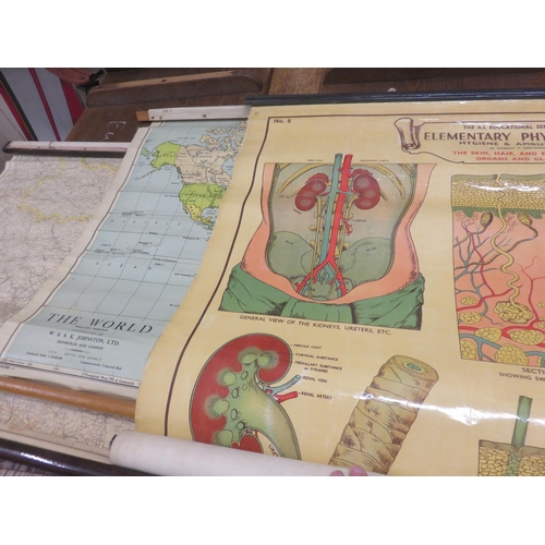 480A - Two Vintage Canvas Maps and a Vintage Medical Chart