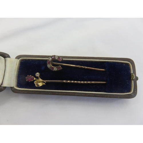 118 - Case Containing Two Ruby and Diamond Stick Pins