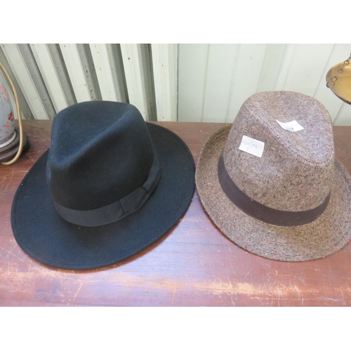 337 - One Fedora and One Trilby Hats