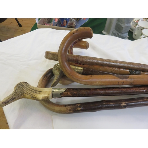 230 - Small Lot of Walking Sticks