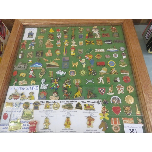 381 - Two Display Cases containing various Pin Badges