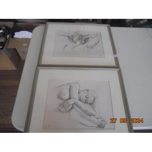 65 - Pair of Framed Sketches 