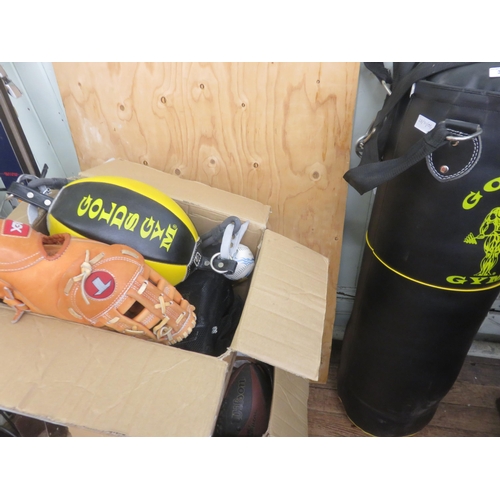 Golds Gym Punching Bag, Speed Bag etc.