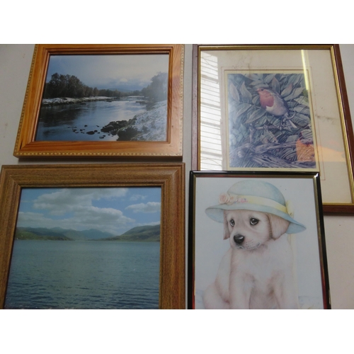 32 - Small Lot of Framed Pictures