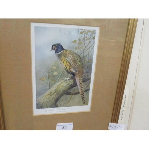 51 - Framed and Signed Archibald Thorburn Print 