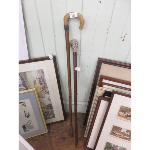 284 - Two Odd Walking Canes