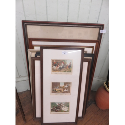 46 - Framed Watercolour - Mixed Quantity of Various Prints