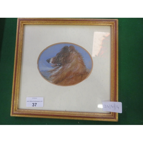 37 - Framed Oil Painting 